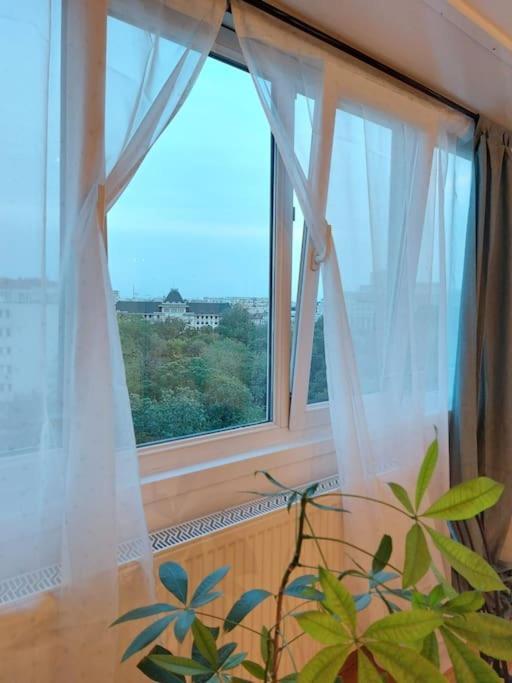 Sweet Dreams Suites Cismigiu Studio Bukareszt Zewnętrze zdjęcie